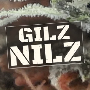Gilz Nilz Cannabis Strain