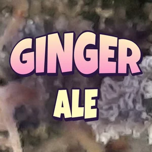 Ginger Ale Cannabis Strain