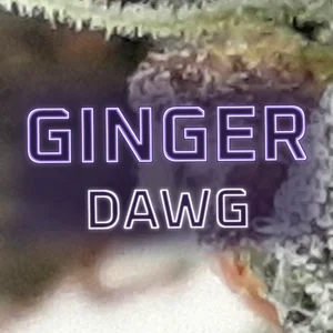 Ginger Dawg Cannabis Strain