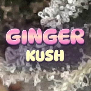 Ginger Kush Cannabis Strain