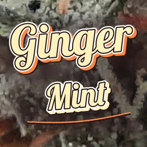 Ginger Mint Cannabis Strain