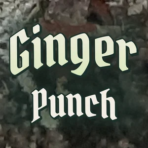 Ginger Punch Cannabis Strain