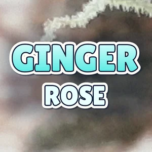 Ginger Rose Cannabis Strain