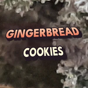 Gingerbread Cookies Cannabis Strain