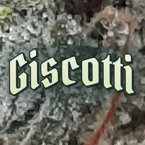 Giscotti Cannabis Strain