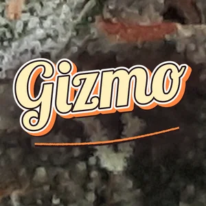Gizmo Cannabis Strain