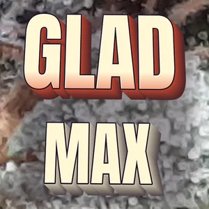 Glad Max Cannabis Strain