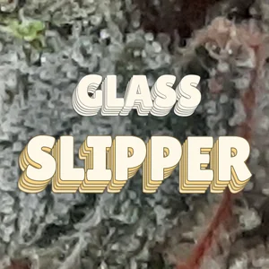 Glass Slipper Cannabis Strain