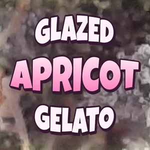 Glazed Apricot Gelato Cannabis Strain