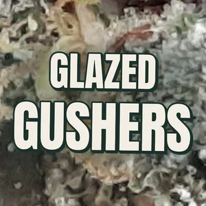 Glazed Gushers Cannabis Strain