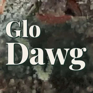 Glo Dawg Cannabis Strain