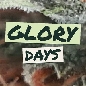 Glory Days Cannabis Strain