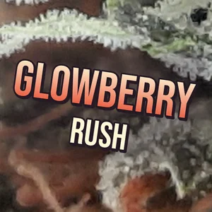 Glowberry Rush Cannabis Strain