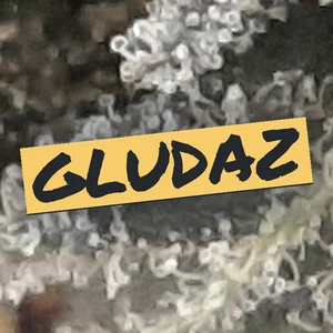 Gludaz Cannabis Strain