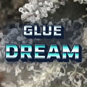 Glue Dream Cannabis Strain
