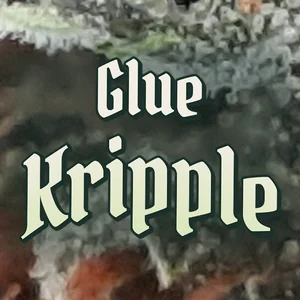 Glue Kripple Cannabis Strain