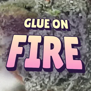 Glue on Fire Cannabis Strain