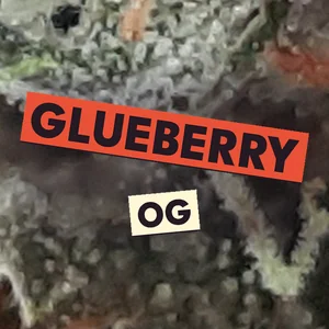 Glueberry OG Cannabis Strain