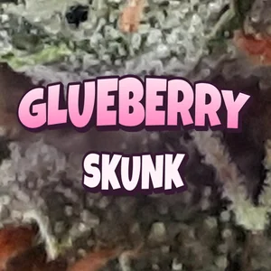 Glueberry Skunk Cannabis Strain