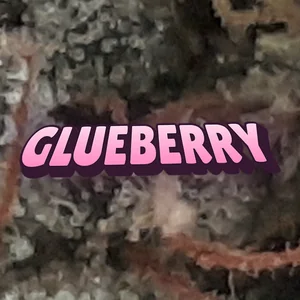 Glueberry Cannabis Strain