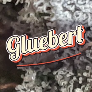 Gluebert Cannabis Strain