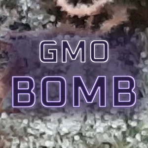 GMO Bomb Cannabis Strain