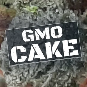 GMO Cake Cannabis Strain