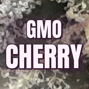 GMO Cherry Cannabis Strain