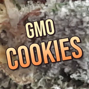 GMO Cookies Cannabis Strain