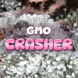 GMO Crasher Cannabis Strain