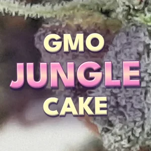 GMO Jungle Cake Cannabis Strain