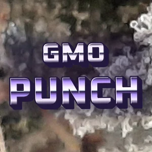 GMO Punch Cannabis Strain