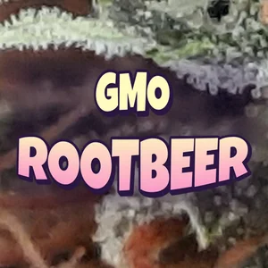 GMO Rootbeer Cannabis Strain