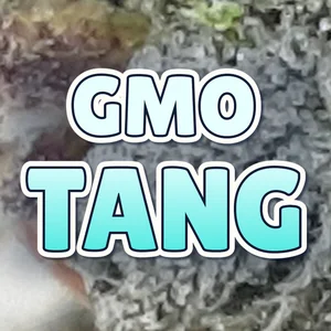 GMO Tang Cannabis Strain