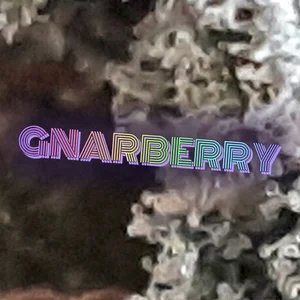 Gnarberry Cannabis Strain