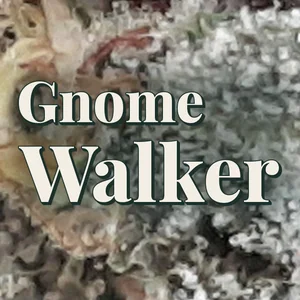 Gnome Walker Cannabis Strain