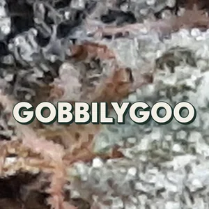 Gobbilygoo Cannabis Strain