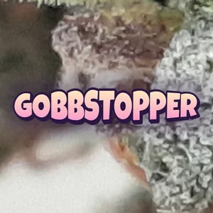 Gobbstopper Cannabis Strain