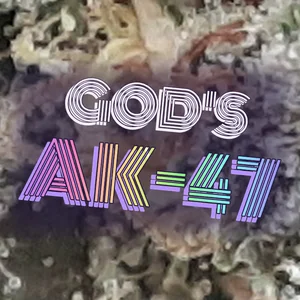 God's AK-47 Cannabis Strain