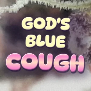 God's Blue Cough Cannabis Strain