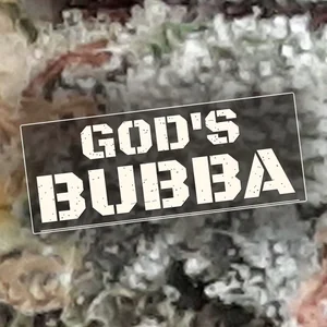 God's Bubba Cannabis Strain