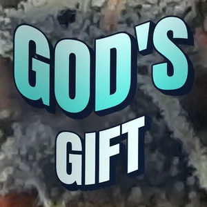 God's Gift Cannabis Strain