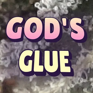 God's Glue Cannabis Strain