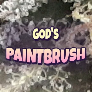 God's Paintbrush Cannabis Strain