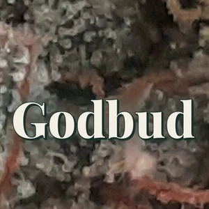 Godbud Cannabis Strain