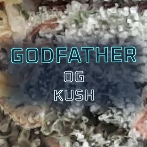 Godfather OG Kush Cannabis Strain