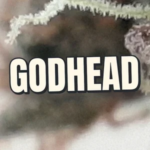 Godhead Cannabis Strain