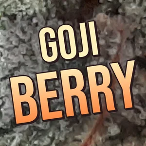 Goji Berry Cannabis Strain