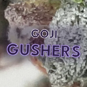Goji Gushers Cannabis Strain