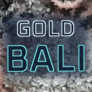Gold Bali Cannabis Strain